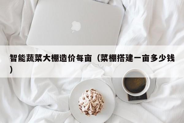 智能蔬菜大棚造价每亩（菜棚搭建一亩多少钱）
