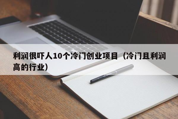 利润很吓人10个冷门创业项目（冷门且利润高的行业）