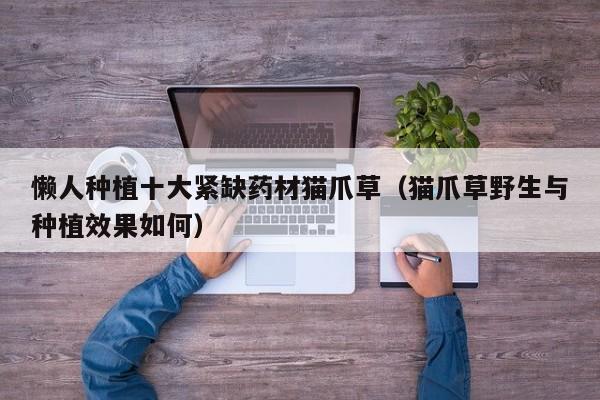 懒人种植十大紧缺药材猫爪草（猫爪草野生与种植效果如何）