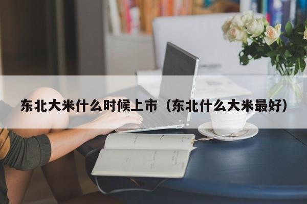 东北大米什么时候上市（东北什么大米最好）