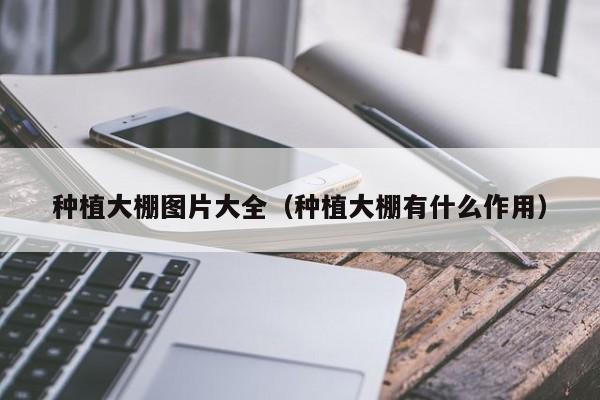 种植大棚图片大全（种植大棚有什么作用）
