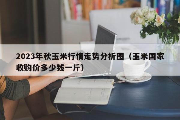 2023年秋玉米行情走势分析图（玉米国家收购价多少钱一斤）