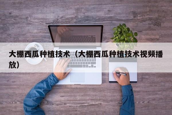 大棚西瓜种植技术（大棚西瓜种植技术视频播放）