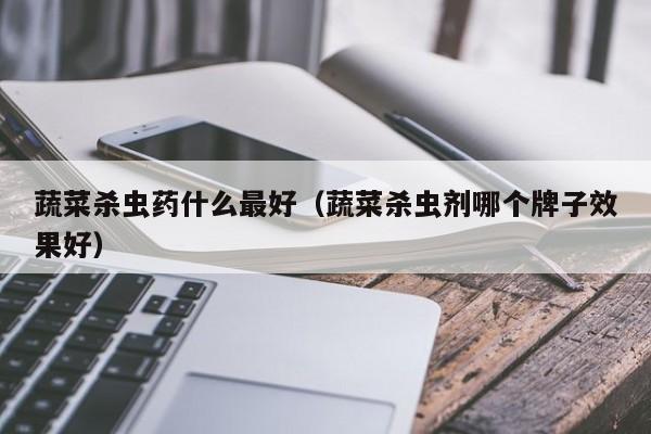 蔬菜杀虫药什么最好（蔬菜杀虫剂哪个牌子效果好）