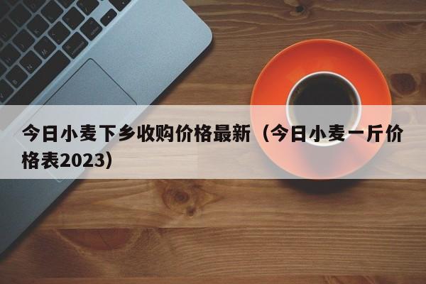 今日小麦下乡收购价格最新（今日小麦一斤价格表2023）