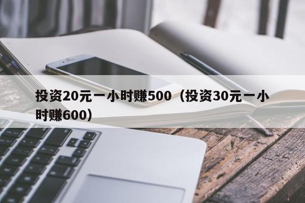 投资20元一小时赚500（投资30元一小时赚600）