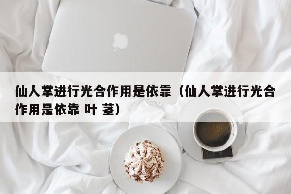 仙人掌进行光合作用是依靠（仙人掌进行光合作用是依靠 叶 茎）