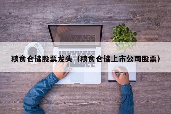 粮食仓储股票龙头（粮食仓储上市公司股票）