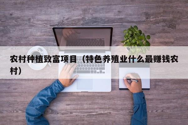 农村种植致富项目（特色养殖业什么最赚钱农村）