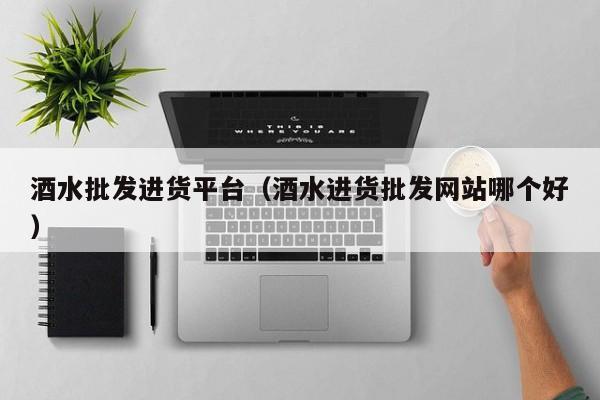 酒水批发进货平台（酒水进货批发网站哪个好）