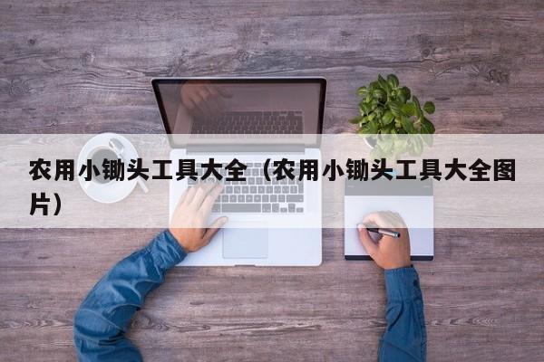 农用小锄头工具大全（农用小锄头工具大全图片）