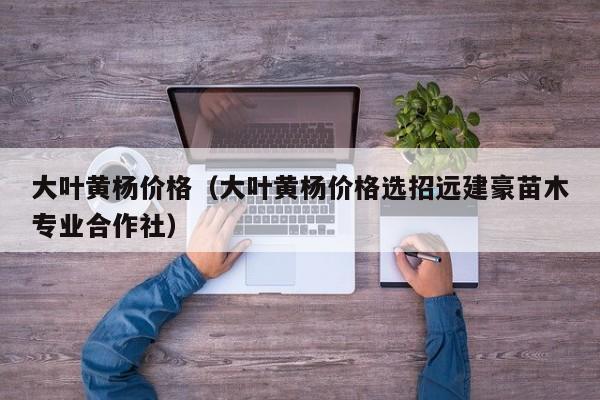 大叶黄杨价格（大叶黄杨价格选招远建豪苗木专业合作社）