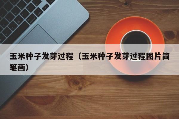 玉米种子发芽过程（玉米种子发芽过程图片简笔画）