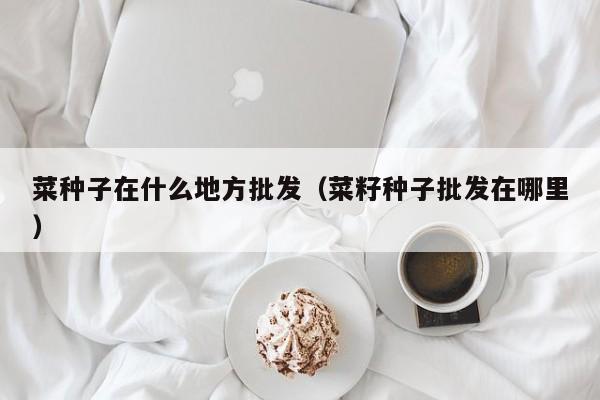 菜种子在什么地方批发（菜籽种子批发在哪里）