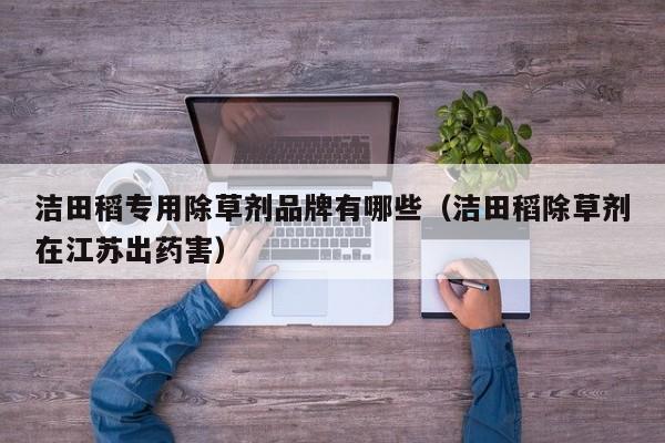 洁田稻专用除草剂品牌有哪些（洁田稻除草剂在江苏出药害）