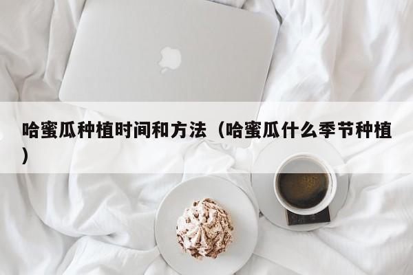 哈蜜瓜种植时间和方法（哈蜜瓜什么季节种植）