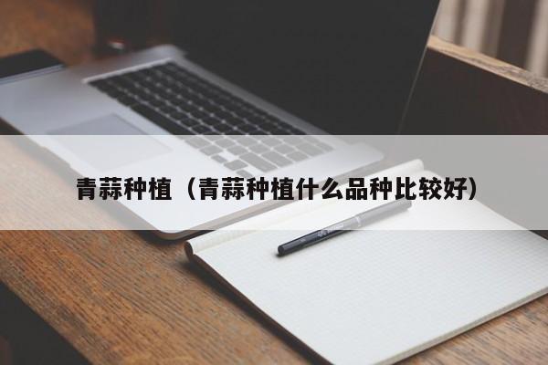 青蒜种植（青蒜种植什么品种比较好）