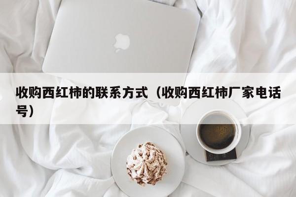 收购西红柿的联系方式（收购西红柿厂家电话号）