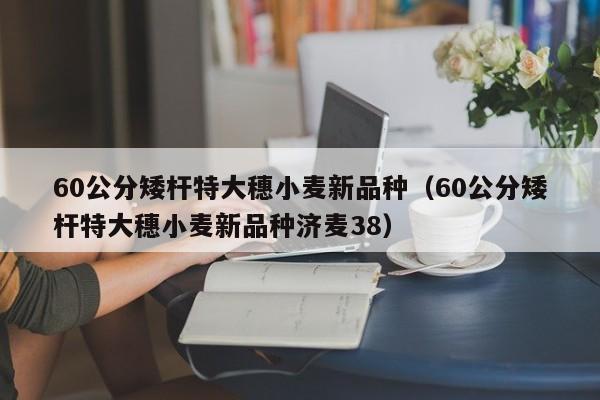 60公分矮杆特大穗小麦新品种（60公分矮杆特大穗小麦新品种济麦38）