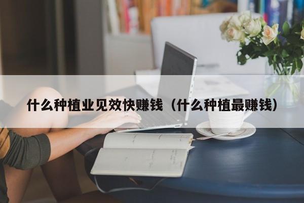 什么种植业见效快赚钱（什么种植最赚钱）