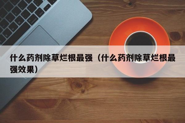 什么药剂除草烂根最强（什么药剂除草烂根最强效果）