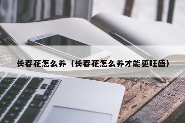 长春花怎么养（长春花怎么养才能更旺盛）