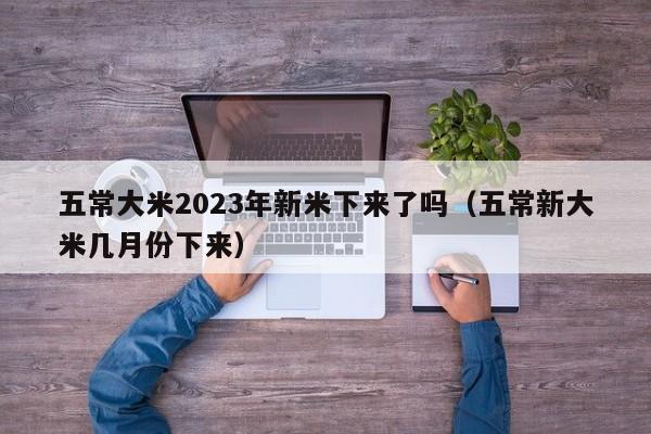 五常大米2023年新米下来了吗（五常新大米几月份下来）