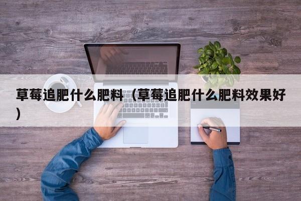 草莓追肥什么肥料（草莓追肥什么肥料效果好）