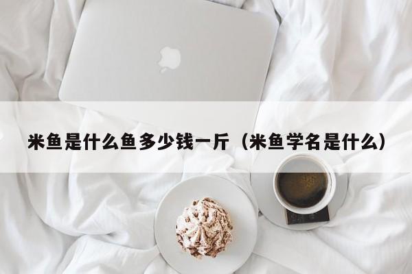 米鱼是什么鱼多少钱一斤（米鱼学名是什么）