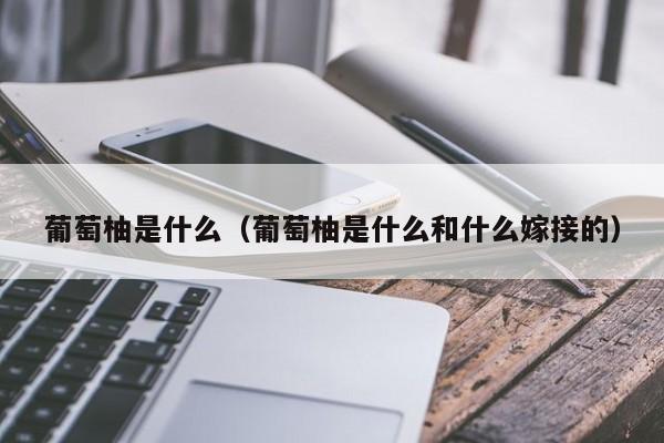 葡萄柚是什么（葡萄柚是什么和什么嫁接的）