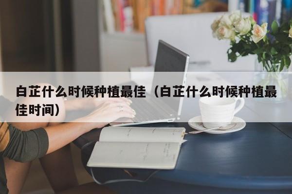 白芷什么时候种植最佳（白芷什么时候种植最佳时间）
