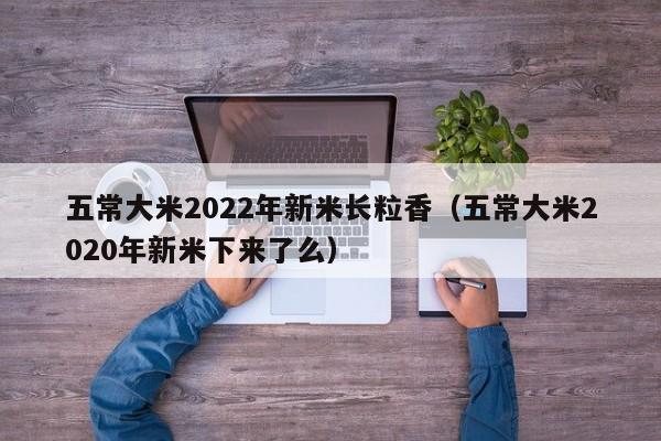 五常大米2022年新米长粒香（五常大米2020年新米下来了么）