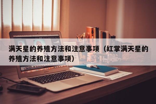 满天星的养殖方法和注意事项（红掌满天星的养殖方法和注意事项）