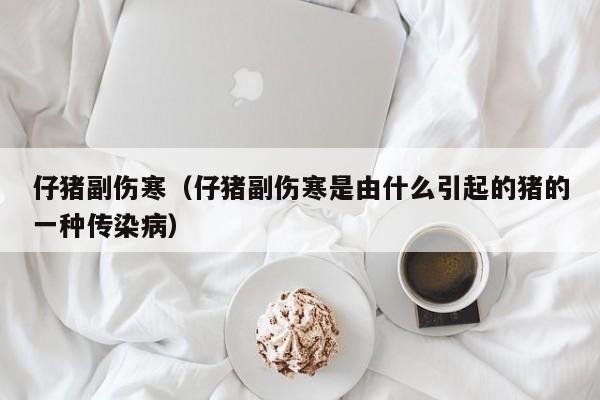 仔猪副伤寒（仔猪副伤寒是由什么引起的猪的一种传染病）