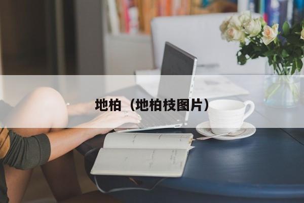 地柏（地柏枝图片）