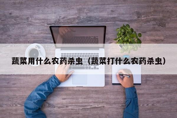 蔬菜用什么农药杀虫（蔬菜打什么农药杀虫）