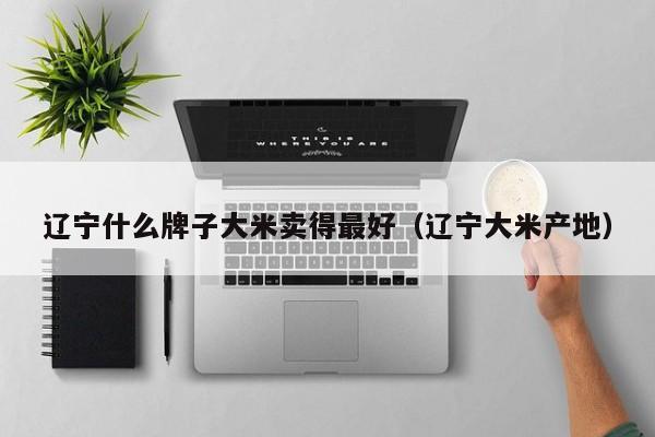 辽宁什么牌子大米卖得最好（辽宁大米产地）