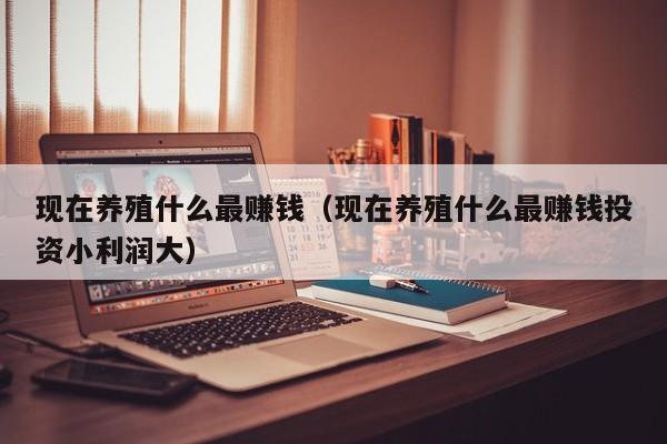 现在养殖什么最赚钱（现在养殖什么最赚钱投资小利润大）