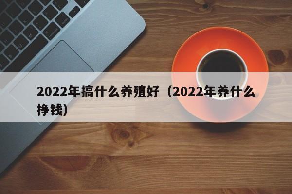 2022年搞什么养殖好（2022年养什么挣钱）
