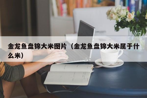 金龙鱼盘锦大米图片（金龙鱼盘锦大米属于什么米）