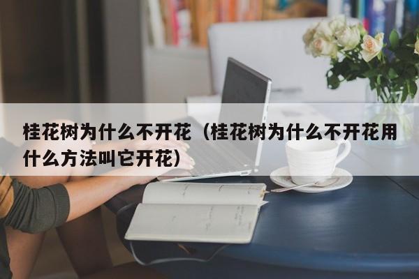 桂花树为什么不开花（桂花树为什么不开花用什么方法叫它开花）