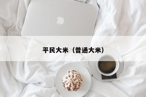 平民大米（普通大米）
