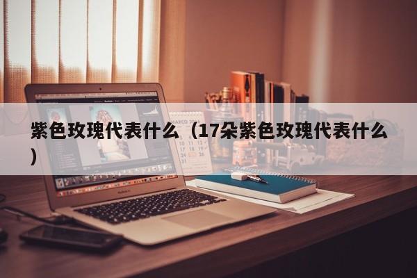 紫色玫瑰代表什么（17朵紫色玫瑰代表什么）
