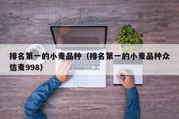 排名第一的小麦品种（排名第一的小麦品种众信麦998）