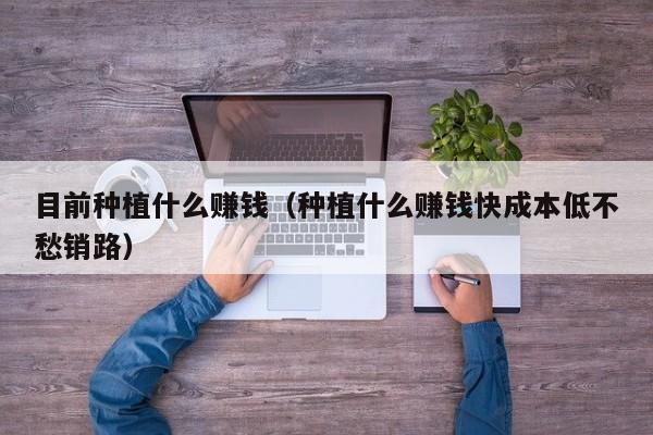 目前种植什么赚钱（种植什么赚钱快成本低不愁销路）