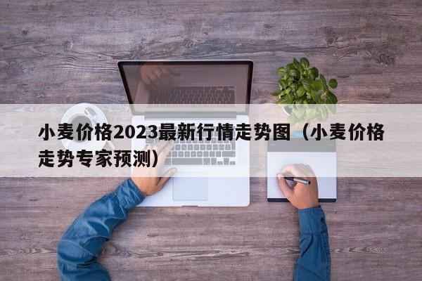 小麦价格2023最新行情走势图（小麦价格走势专家预测）
