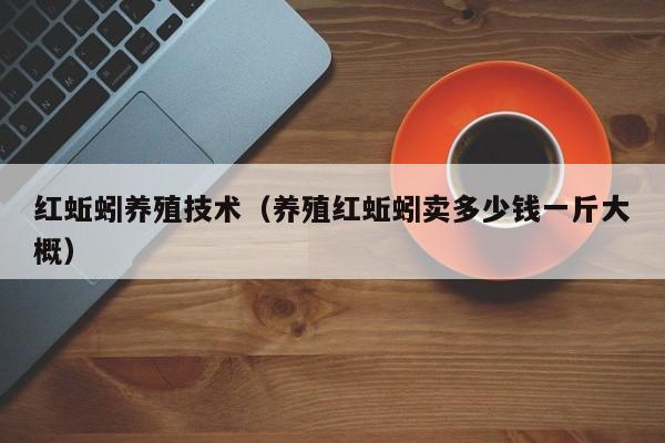 红蚯蚓养殖技术（养殖红蚯蚓卖多少钱一斤大概）
