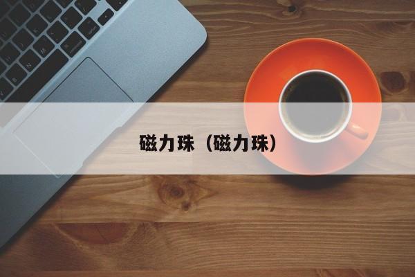 磁力珠（磁力珠）
