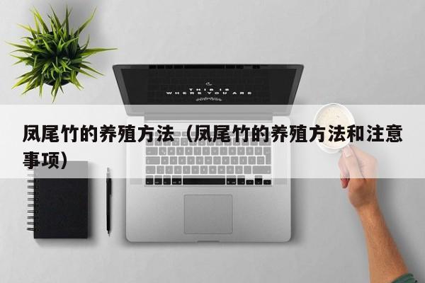 凤尾竹的养殖方法（凤尾竹的养殖方法和注意事项）