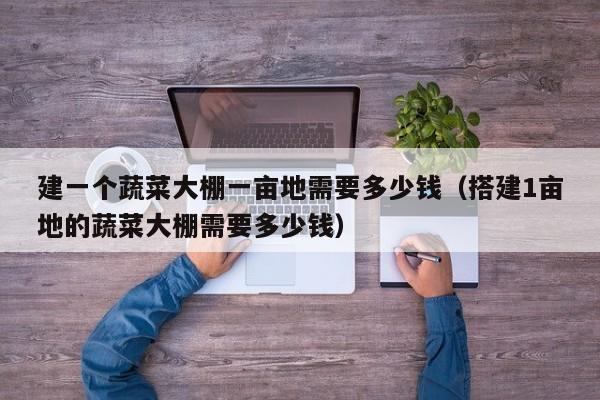 建一个蔬菜大棚一亩地需要多少钱（搭建1亩地的蔬菜大棚需要多少钱）